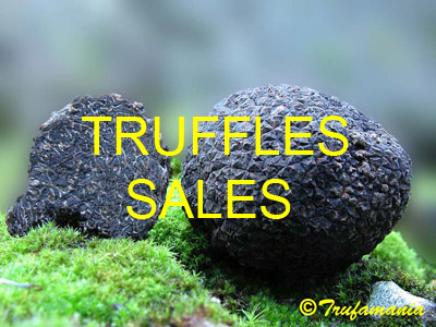 Truffle sales